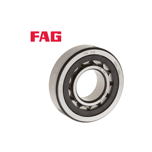 Vòng bi đũa FAG NU 220ETVP2